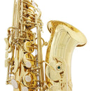 Saxofone Alto Eb, Conjunto Profissional de Instrumento de Sopro com Estojo, Palheta e Acessórios