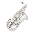 Saxofone Alto Eb, Conjunto Profissional de Instrumento de Sopro com Estojo, Palheta e Acessórios