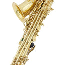 Saxofone Alto Eb, Conjunto Profissional de Instrumento de Sopro com Estojo, Palheta e Acessórios