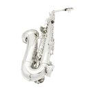 SLADE Saxofone alto em mi bemol, saxofone de latão, instrumento musical de sopro com estojo, palhetas, boquilha, luvas e acessórios