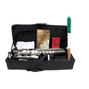 SLADE Saxofone alto em mi bemol, saxofone de latão, instrumento musical de sopro com estojo, palhetas, boquilha, luvas e acessórios