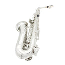 Saxofone Alto Eb, Conjunto Profissional de Instrumento de Sopro com Estojo, Palheta e Acessórios