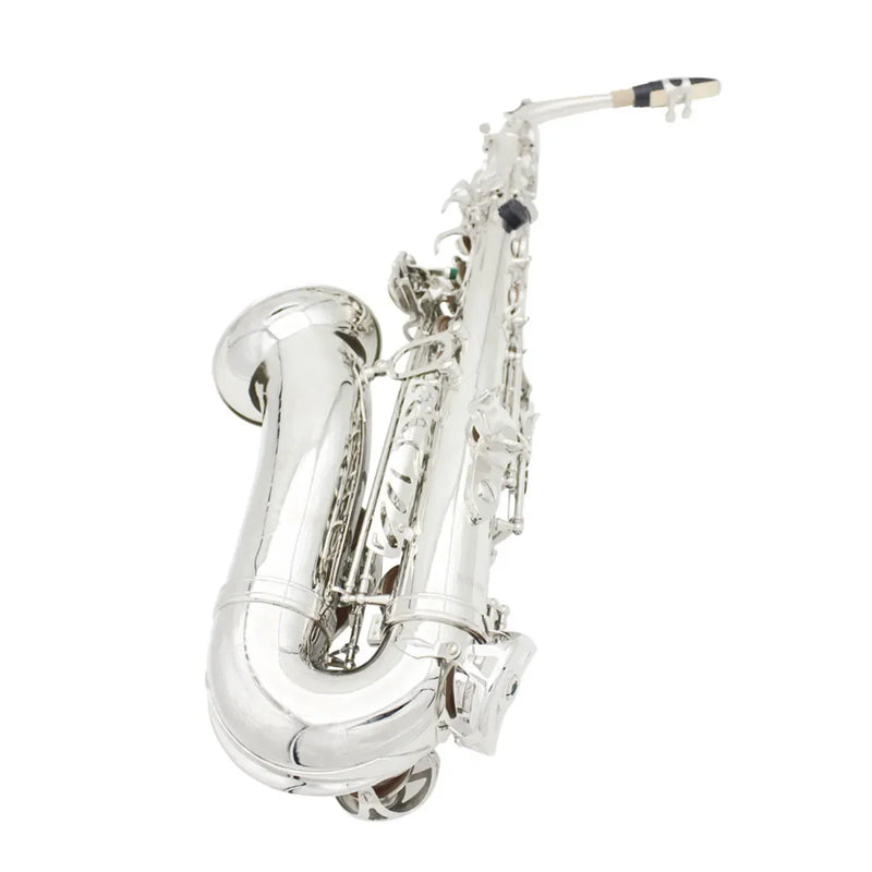SLADE Saxofone alto em mi bemol, saxofone de latão, instrumento musical de sopro com estojo, palhetas, boquilha, luvas e acessórios