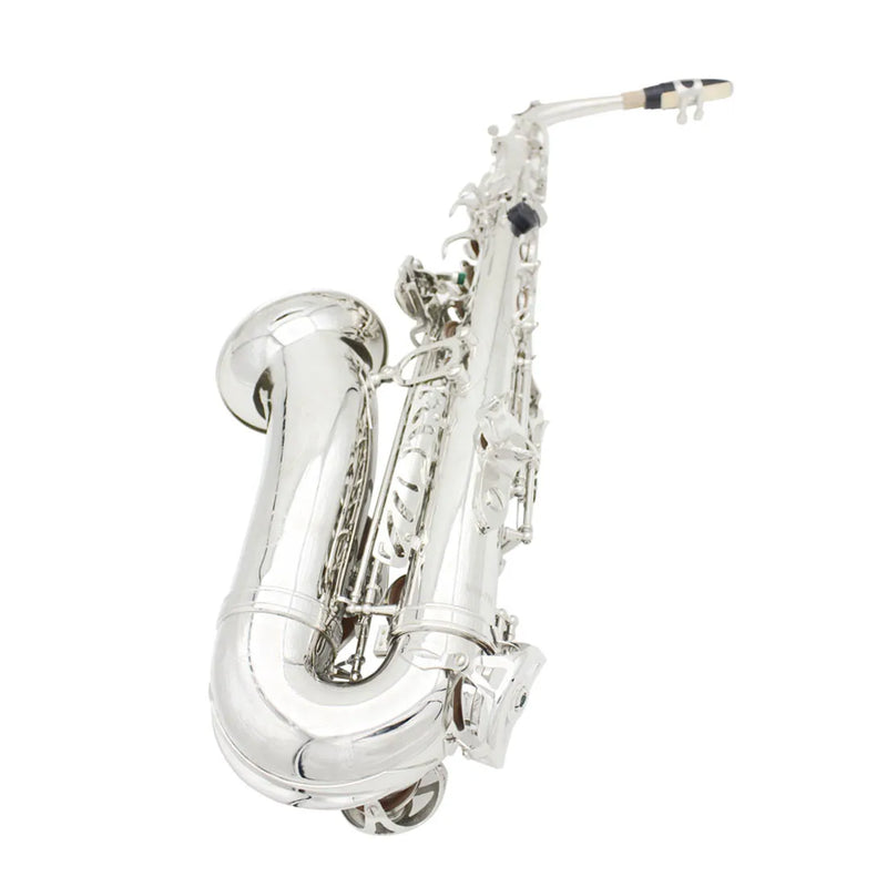 Saxofone Alto Eb, Conjunto Profissional de Instrumento de Sopro com Estojo, Palheta e Acessórios